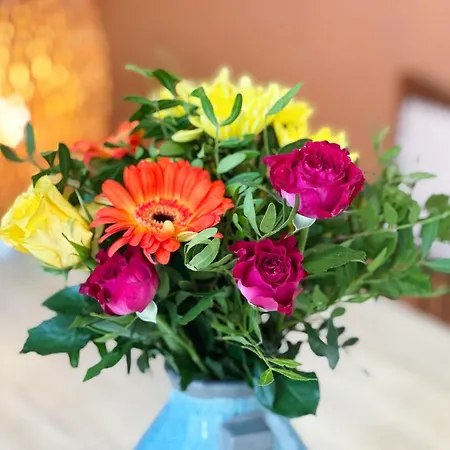 Πανσιόν Puppenhaus 4*