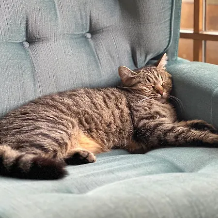 Puppenhaus Casa de hóspedes